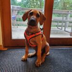 Texas 4 mo