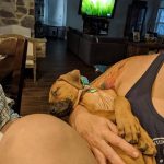 cuddle time ridgeback puppy